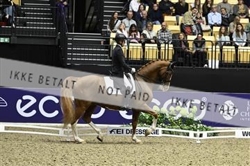182194_kbb_03_Z092007.JPG