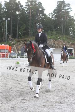 5365_sme _03_IMG_9715.JPG