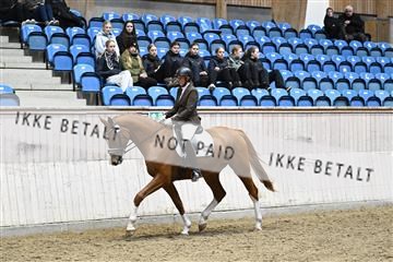 182241_kbb_01_Z095162.JPG