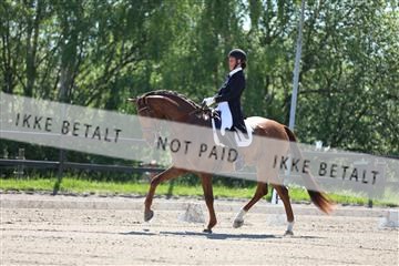 168732_mtp_01_3M5A6917.JPG