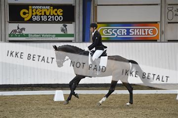 140040_abo_02__AB19204.JPG