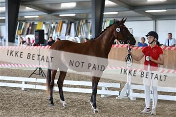 181756_mtp_01_R62_1662.JPG