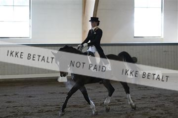 139267_kl_1_8M1Q6770.JPG