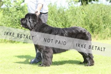 130370_se_02_IMG_5869.JPG
