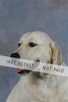 5493_sme _03__MG_9851.JPG