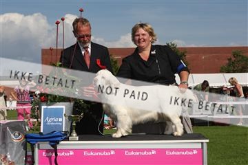 130370_se_03_IMG_7844.JPG