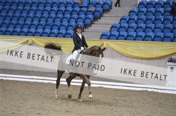 139403_ms_01__MS17951.JPG