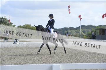 169624_kbb_01__KBB8542.JPG