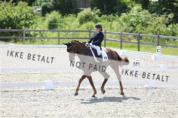 172030_mtp_01_3M5A2462.JPG