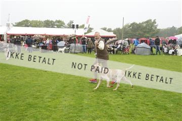 182009_kar_01__62_5602.JPG