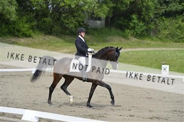 140040_abo_01__AB17090.JPG