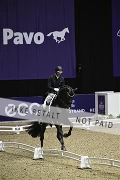 182194_kbb_02_Z098864.JPG
