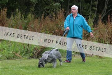 130370_tl_01_IMG_6985.JPG