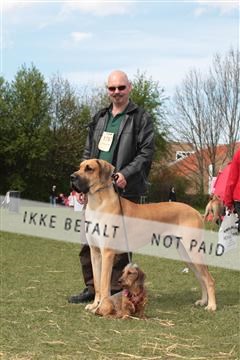 124188 _tl_02_IMG_9505.JPG