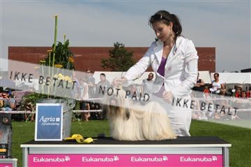 130370_se_02_IMG_6379.JPG