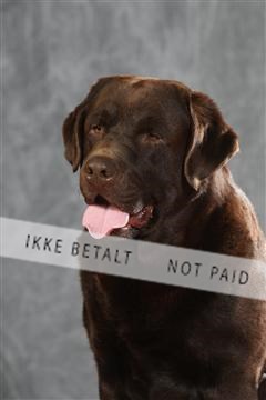 130054_le_ 01_0389.JPG