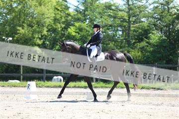 168732_mtp_01_3M5A7164.JPG