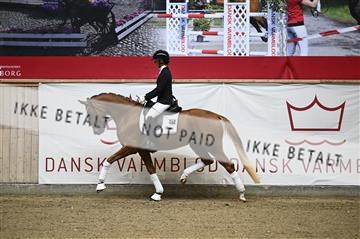 181957_kbb_02_Z099493.JPG