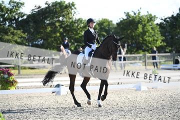 166078_kuo_01_D05_6772.JPG