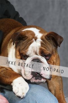 130054_le_ 03_0366.JPG