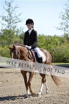 139815_ms_01__MS27079.JPG