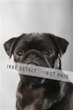 129608_le_ 01_0166.JPG