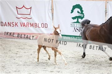 175058_mlm_01_R62_6439.JPG