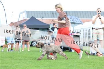 181564_rin_01_R62_0270.JPG