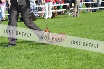 130370_se_02_IMG_6632.JPG