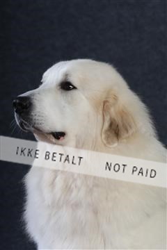 132082_le_ 01_IMG_0828.JPG