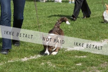 134871_ms_02_IMG_3606.JPG