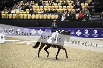 182194_kbb_02_Z098612.JPG