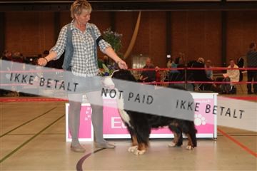 124188 _tl_02_IMG_9604.JPG