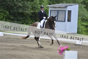 140040_abo_01__AB16106.JPG