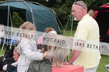 130370_tl_01_IMG_7026.JPG