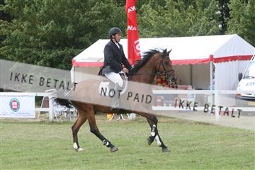 5925_ma_03_IMG_9930.JPG