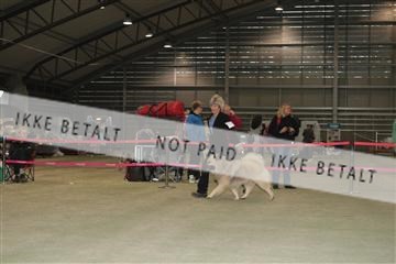 126168_se_01_IMG_0370.JPG
