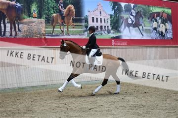 181887_mtp_05_R62_9740.JPG