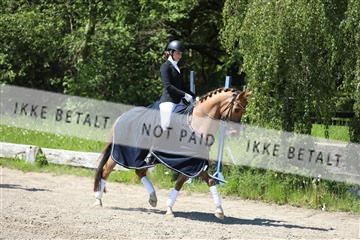 168732_mtp_01_3M5A6886.JPG