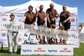181564_ch_01__62_8839.JPG