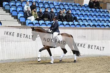 182241_kbb_01_Z095153.JPG