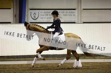 141472_abo_01__AB14961.JPG