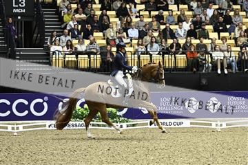 182194_kbb_03_Z091826.JPG