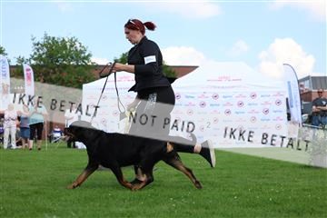 181564_rin_01_R62_9839.JPG