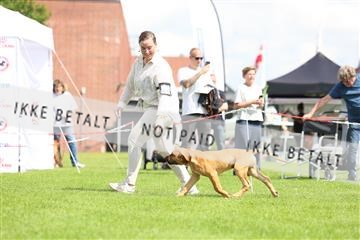 181564_rin_01_R62_7683.JPG
