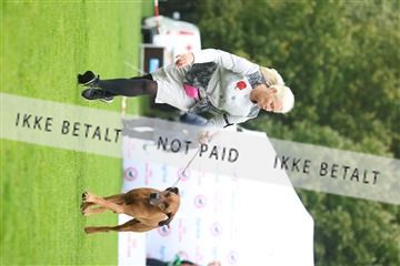 182009_rin_02_R62_2541.JPG