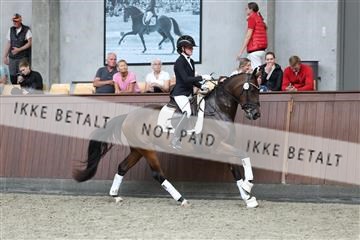 181852_mtp_05_R62_3230.JPG