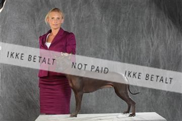 130054_le_ 03_0287.JPG