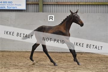 156435_kuo_01__D056594.JPG
