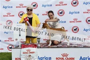 181564_kar_01__62_7166.JPG